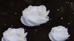 Распускающиеся белые цветы на фоне золотой пыльцы - футаж