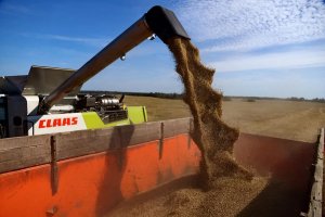 Уборка в стране полным ходом