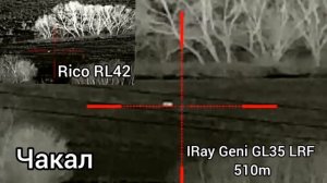 Термален прицел IRay Geni GL35 LRF сравнение с IRay Rico RL42 LRF откриване на чакали  510м