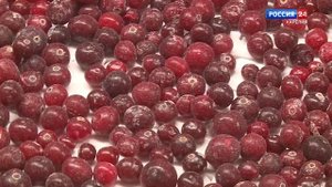 Движение вверх. Пряжинский район Завод по переработке ягод Фрешберри