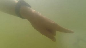Снорклинг в Азовском море :)