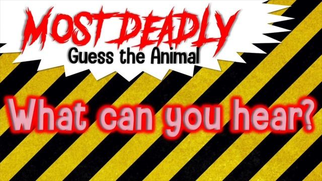 Guess the Animal Sound Game  Most Deadly Animal Quiz