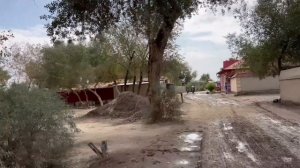 Как жарят  Рыбу в Узбекистане Без Соли,чтобы она была Сочной и не пережаренной! Кипчак !