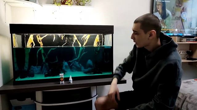 синька в аквариум, лечение рыб. смотреть онлайн