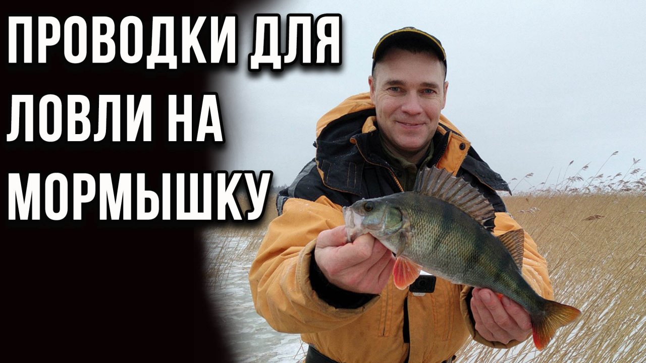 Проводки для ловли на мормышку