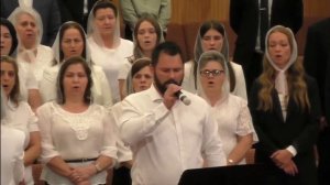 Муж скорбей изведавший болезни / Пой Аллилуйя