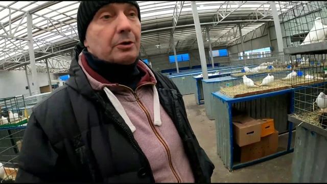 Голуби.Птичий рынок Садовод смотреть онлайн