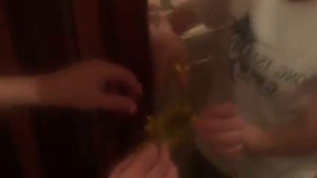 Лизун лягушка смотреть онлайн