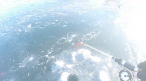 Ловля ФОРЕЛИ на платнике ЗИМОЙ ! Савельев 2! Зимняя рыбалка!