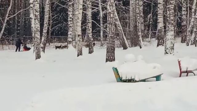 Катание на хаски (январь 2021г.)