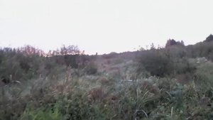 Охота на бобра!Мой САМЫЙ БОЛЬШОЙ БОБР!!!Стрелял В УПОР!!Лось 145.