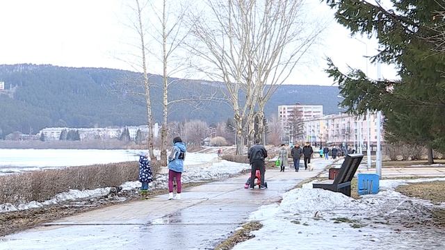 Рыжий кот 11.04.2018 смотреть онлайн