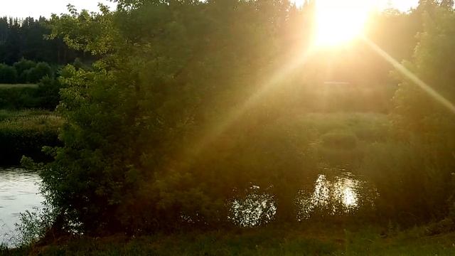 Учимся ловить нахлыстом. Москва река. г. Звенигород. Поймали голавлей и ельца!
