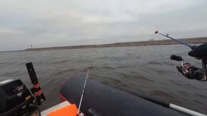 Корюшка / Ловим на блесну