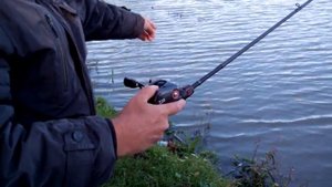 "Борода" на мульте. Быстрая ликвидация