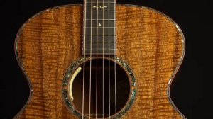 The Breedlove Masterclass Series Guitars