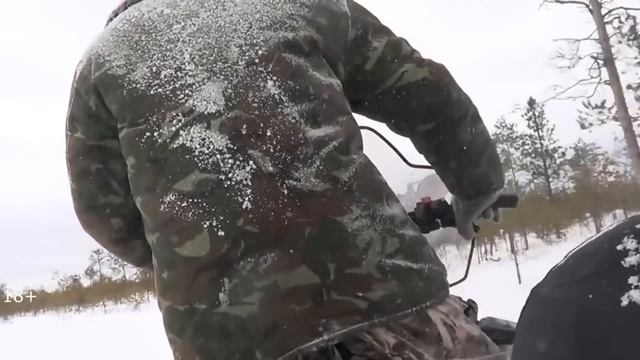 На промысле в тайге