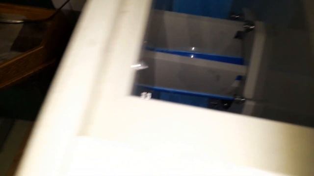 Не только пчёлы но и рыба ?, выращивание рыбы в помещении. смотреть онлайн