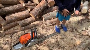 This chainsaw DESTROYS our woodpile ;p STIHL MS-291 REVIEW. Also - HOW TO WASH OFF POISON IVY