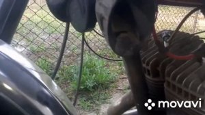 Сигнал на ИЖ