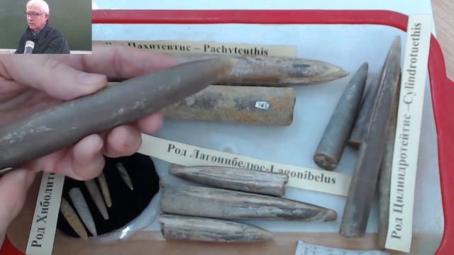 Увлекательный мир коллекций смотреть онлайн