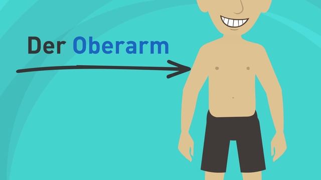 Учим немецкий. Уровень А1. Название частей тела