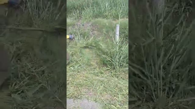 GUADAÑA HUSQVARNA 143II смотреть онлайн