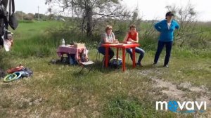 Племенной смотр собак 2   видео Дмитрий Солоненко