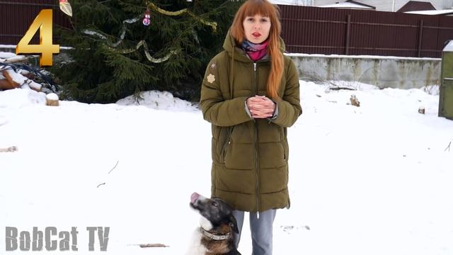 5 причин НЕ ЗАВОДИТЬ РЫСЬ. Часть 2 смотреть онлайн