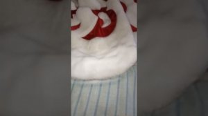 Чистка меха костюма Деда Мороза