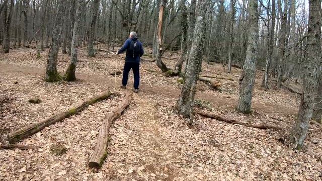 Поход на Аю Даг / море подснежников на Медведь горе / Весна в Крыму