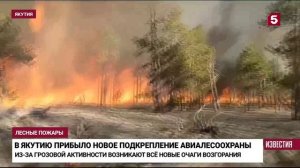 5 канал, Пожары в Якутии, 14 июня 2024