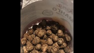 Как ввести прыткую ящерицу в спячку?