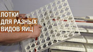 Разные виды лотков для инкубации яиц. Инкубаторы серии MultiLife, Бориса Кравчик