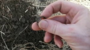 ПОИСК МОНЕТ В ЗАБРОШЕННОЙ ДЕРЕВНЕ 2024