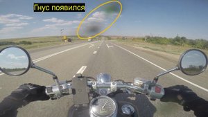 Мотопутешествие 2024 Путь домой День 2