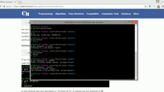 Introduction to git | Basic Concepts and Commands смотреть онлайн