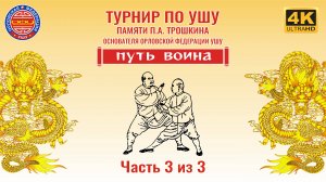 Турнир по ушу "ПУТЬ ВОИНА" 2024 года (поединки тайцзитуйшоу). Часть 3 из 3