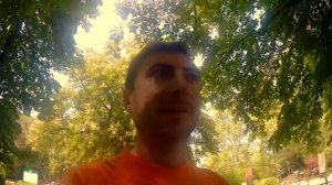 "Фокус внимания" Нико Бауман: отзыв о книге