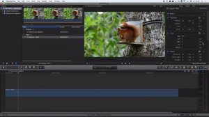 КИНОШНЫЙ ЭФФЕКТ в Final Cut. Видеоурок: как сделать видео похожим на кино в Файнал Кат