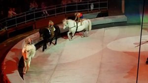 ЦИРК. ПАРАД АЛЛЕ