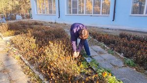 Осенний сбор семян цветов. Школа продвинутого садовода