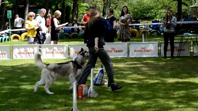 Моно СЕС Ростов на Дону 10 мая 2014 смотреть онлайн