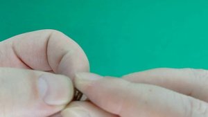 Угольные щетки (пара) дисковой пилы Диолд ДП-0,55 МФ