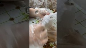 Мыльный камень «малахит»