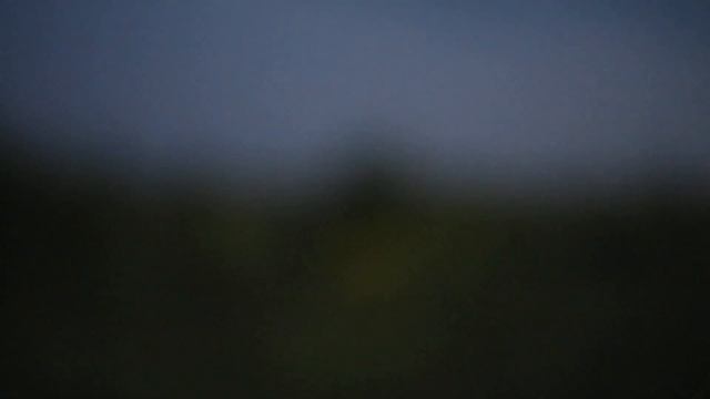 Canon EOS RP. Low Light Video Test. Helios 44-2 смотреть онлайн