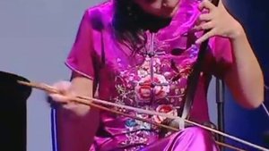 Erhu - Chinese musical instrument