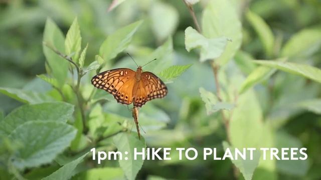 7 Days On A Yoga Retreat | Lucie Fink смотреть онлайн