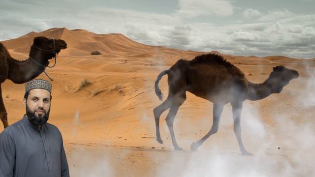 Saif ul Malook Kalam Mian Muhammad Bakhsh by Rizwn ul Haq | Heart Touching Punjabi Kalam 2022 RQ смотреть онлайн