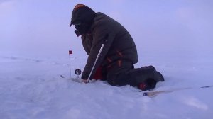 Секреты зимней рыбалки в Карелии.  Сямозеро.